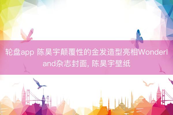 轮盘app 陈昊宇颠覆性的金发造型亮相Wonderland杂志封面， 陈昊宇壁纸