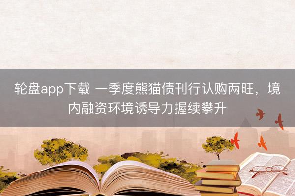 轮盘app下载 一季度熊猫债刊行认购两旺，境内融资环境诱导力握续攀升