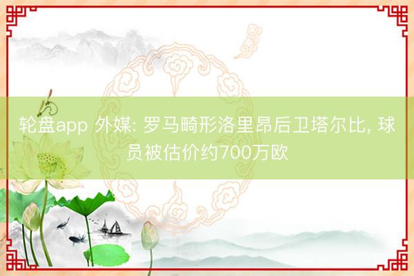 轮盘app 外媒: 罗马畸形洛里昂后卫塔尔比， 球员被估价约700万欧