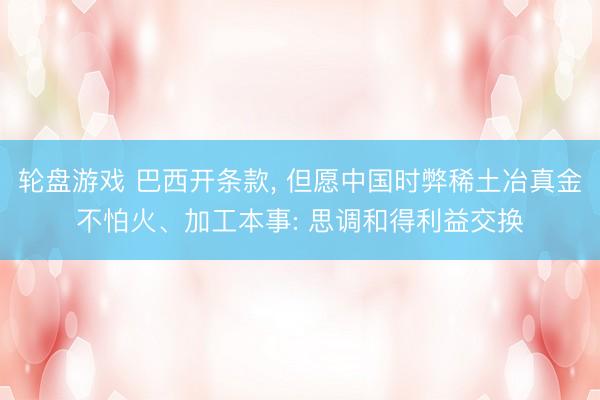 轮盘游戏 巴西开条款， 但愿中国时弊稀土冶真金不怕火、加工本事: 思调和得利益交换