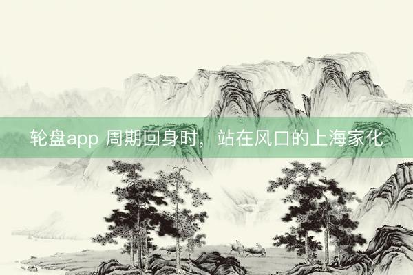 轮盘app 周期回身时，站在风口的上海家化