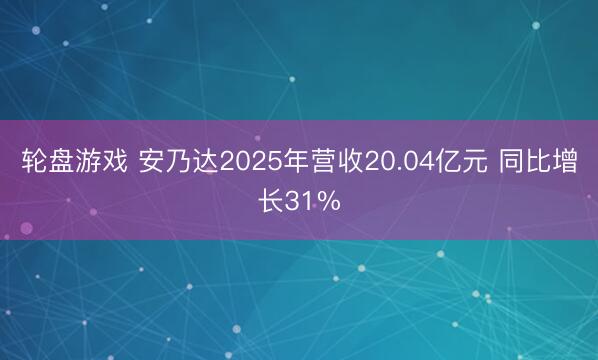 轮盘游戏 安乃达2025年营收20.04亿元 同比增长31%