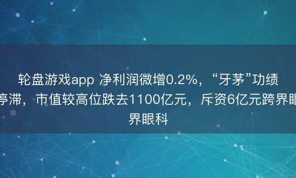 轮盘游戏app 净利润微增0.2%，“牙茅”功绩陷停滞，市值较高位跌去1100亿元，斥资6亿元跨界眼科