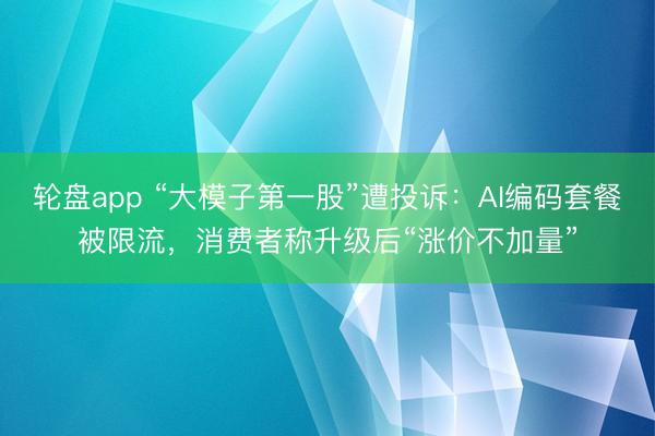 轮盘app “大模子第一股”遭投诉：AI编码套餐被限流，消费者称升级后“涨价不加量”