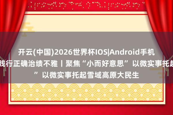 轮盘APP 成就和践行正确治绩不雅丨聚焦“小而好意思” 以微实事托起雪域高原大民生