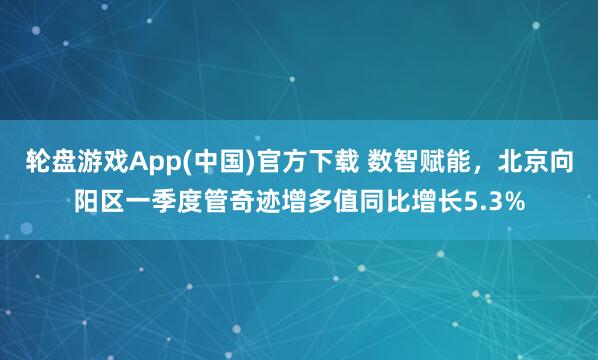 轮盘游戏App(中国)官方下载 数智赋能，北京向阳区一季度管奇迹增多值同比增长5.3%