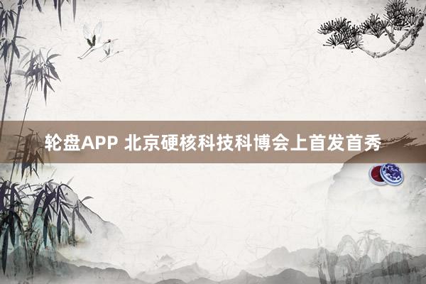 轮盘APP 北京硬核科技科博会上首发首秀