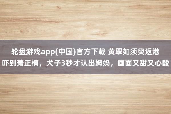 轮盘游戏app(中国)官方下载 黄翠如须臾返港吓到萧正楠，犬子3秒才认出姆妈，画面又甜又心酸