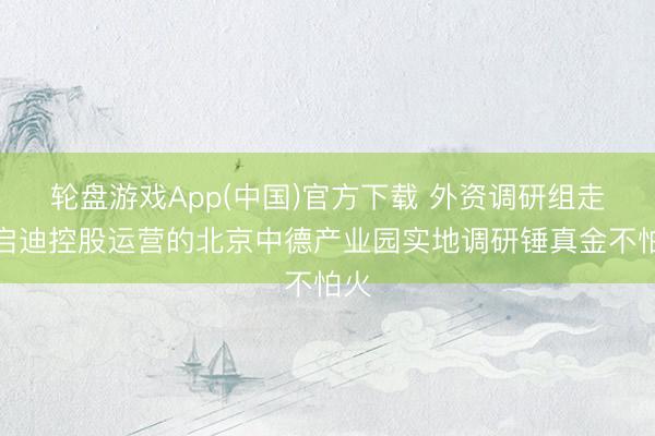 轮盘游戏App(中国)官方下载 外资调研组走进启迪控股运营的北京中德产业园实地调研锤真金不怕火