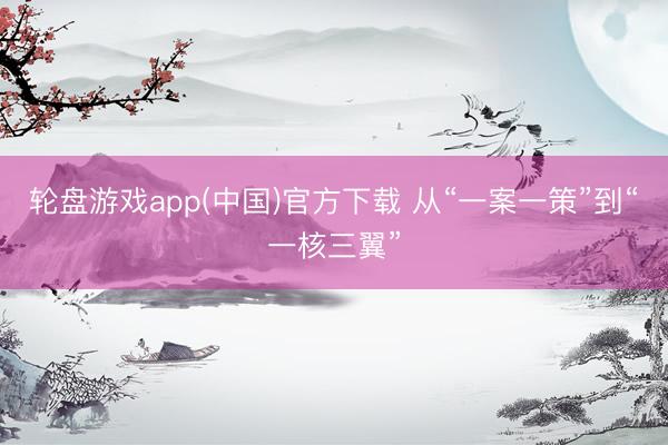轮盘游戏app(中国)官方下载 从“一案一策”到“一核三翼”