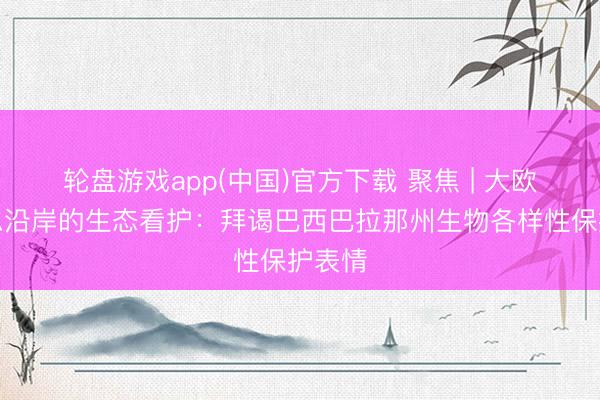 轮盘游戏app(中国)官方下载 聚焦 | 大欧好意思沿岸的生态看护：拜谒巴西巴拉那州生物各样性保护表情