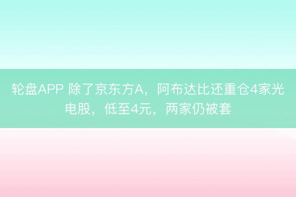轮盘APP 除了京东方A，阿布达比还重仓4家光电股，低至4元，两家仍被套
