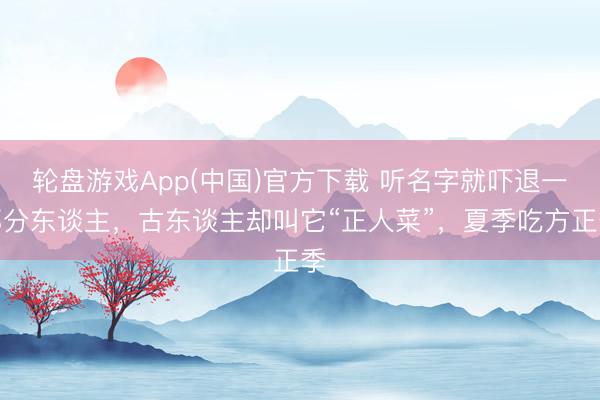 轮盘游戏App(中国)官方下载 听名字就吓退一部分东谈主，古东谈主却叫它“正人菜”，夏季吃方正季
