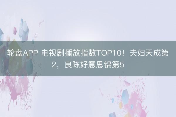 轮盘APP 电视剧播放指数TOP10！夫妇天成第2，良陈好意思锦第5