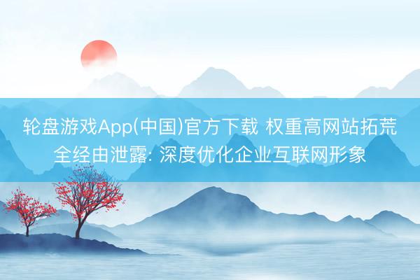 轮盘游戏App(中国)官方下载 权重高网站拓荒全经由泄露: 深度优化企业互联网形象
